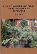 Виды и формы хвойных, культивируемых в России. Часть 1