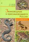 Земноводные и пресмыкающиеся России. Атлас-определитель