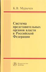 Система представительных органов власти в Российской Федерации