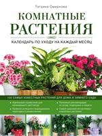 Комнатные растения: календарь по уходу на каждый месяц