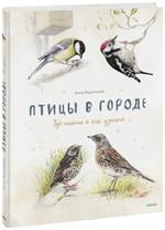 Птицы в городе. Где найти и как узнать