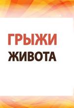 Грыжи живота: Современные аспекты этиологии, патогенеза, диагностики и лечения. Уч. пос. 