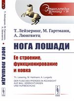 Нога лошади: Ее строение, функционирование и ковка