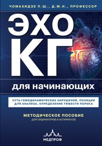 Эхокардиография для начинающих. Суть гемодинамических нарушений, позиции для анализа, определение тя