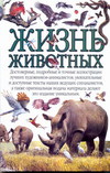 Биология. Зоология